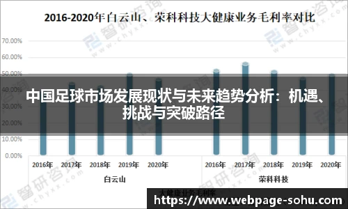 中国足球市场发展现状与未来趋势分析：机遇、挑战与突破路径